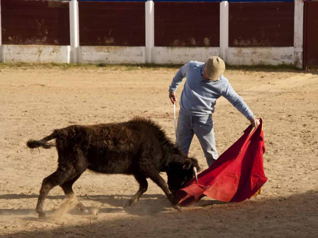El torero segoviano Andrés Hernando, en una de sus últimas actuaciones en público. / M.G.