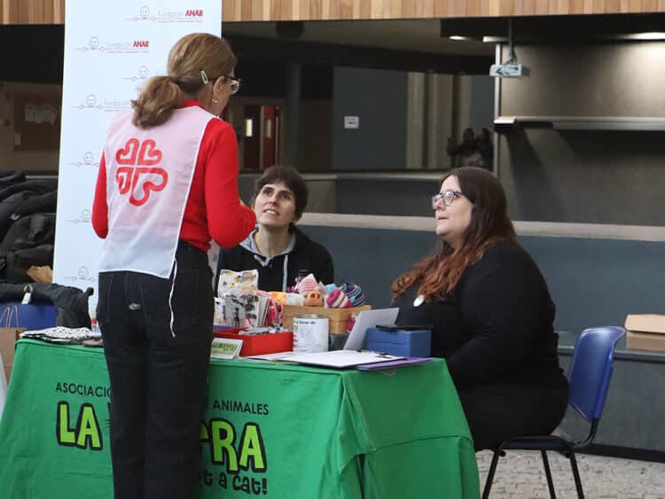 Feria del Voluntariado en el Campus María Zambrano. / PUBLICATESSEN