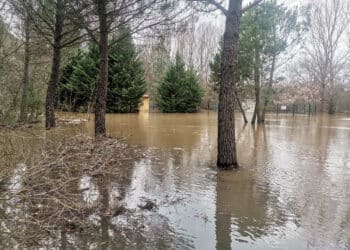 Aumento del caudal del río Cega en los últimos días / AYTO. DE FUENTEPELAYO