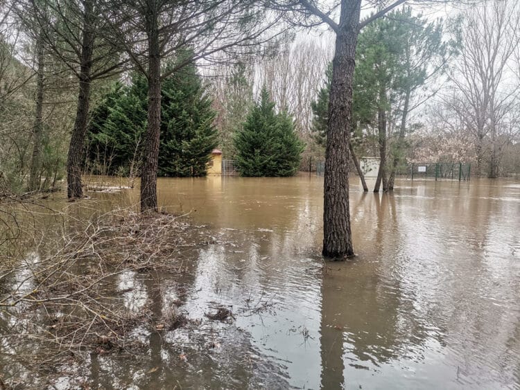 Aumento del caudal del río Cega en los últimos días / AYTO. DE FUENTEPELAYO