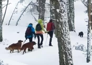 FOTO: GRUPO DE MONTAÑA LA ACEBEDA