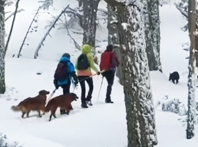 FOTO: GRUPO DE MONTAÑA LA ACEBEDA