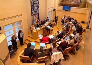 Pleno del Ayuntamiento de Segovia. / AYUNTAMIENTO DE SEGOVIA