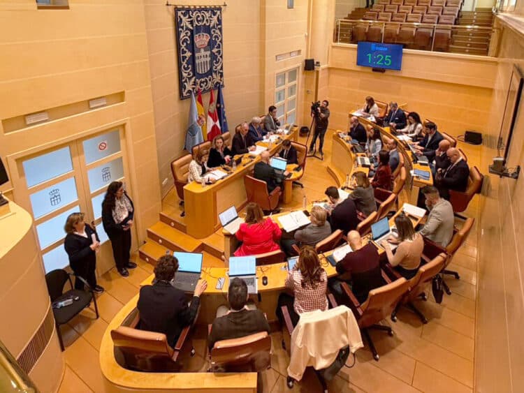 Pleno del Ayuntamiento de Segovia. / AYUNTAMIENTO DE SEGOVIA
