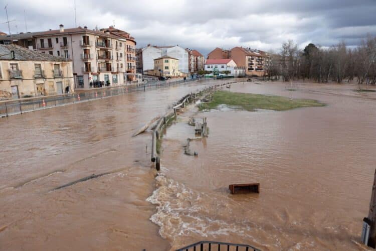 Foto: CONCHA ORTEGA.