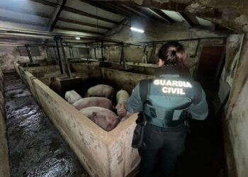 Una agente junto a los animales en peligro. /GUARDIA CIVIL SEGOVIA