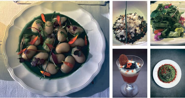Creaciones de destacados chefs con la espirulina como protagonista. Guiso de judiones de La Granja con brotes y espirulina. Ensalada de nabo con gomasio sobre mole de especias y espirulina, y tagliateles con pesto de espirulina y flores, del chef Luis Arijón. Abajo derecha, Capuccino de zanahoria y naranja con espirulina, y Brocomole con espirulina y pimiento rojo, de Santy García. / Zahara Gómez