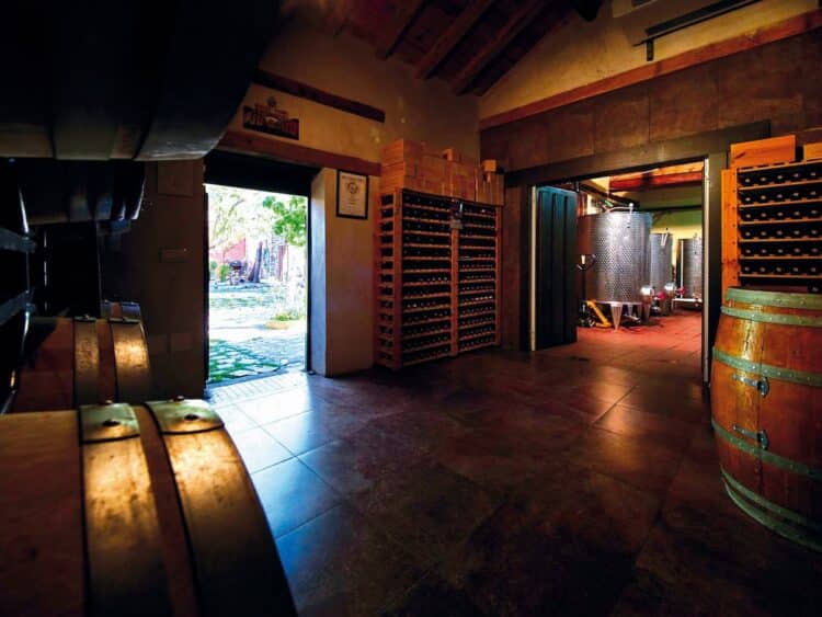 Bodegas Las dos Antiguas organizan visitas guiadas a sus instalaciones. / Las Dos Antiguas