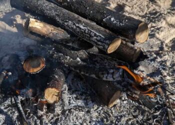 Foto de archivo. Matanza del cerdo / E.A.