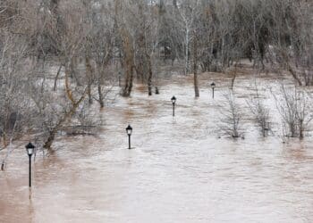 Foto: CONCHA ORTEGA.