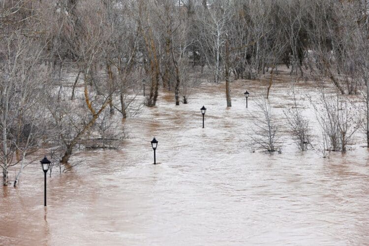 Foto: CONCHA ORTEGA.