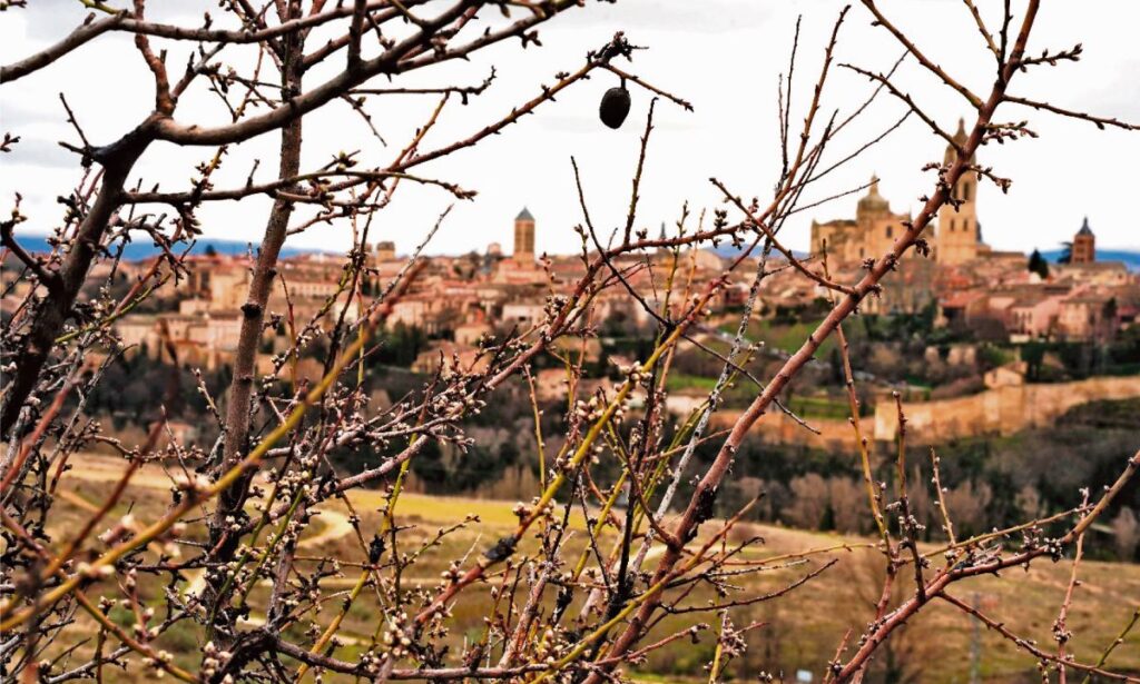 FOTO: MARIO ANTÓN LOBO.
