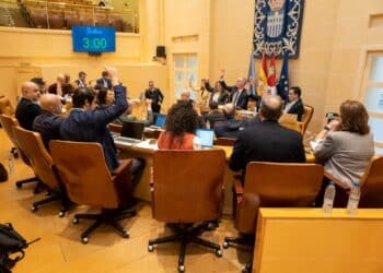 Concejales votando durante uno de los últimos plenos del Ayuntamiento de Segovia. / HÉCTOR CRIADO