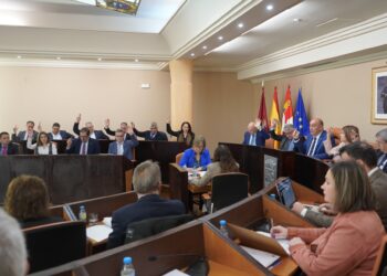 Pleno de la Diputación Provincial en el que se expresó el apoyo a los clubes segovianos. / D.P.