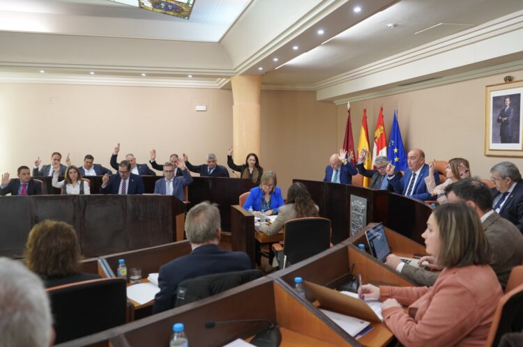 El pleno de la Diputación expresó su unánime apoyo a los clubes expulsados de las ligas federadas 1 Pleno de la Diputación Provincial en el que se expresó el apoyo a los clubes segovianos. / D.P.