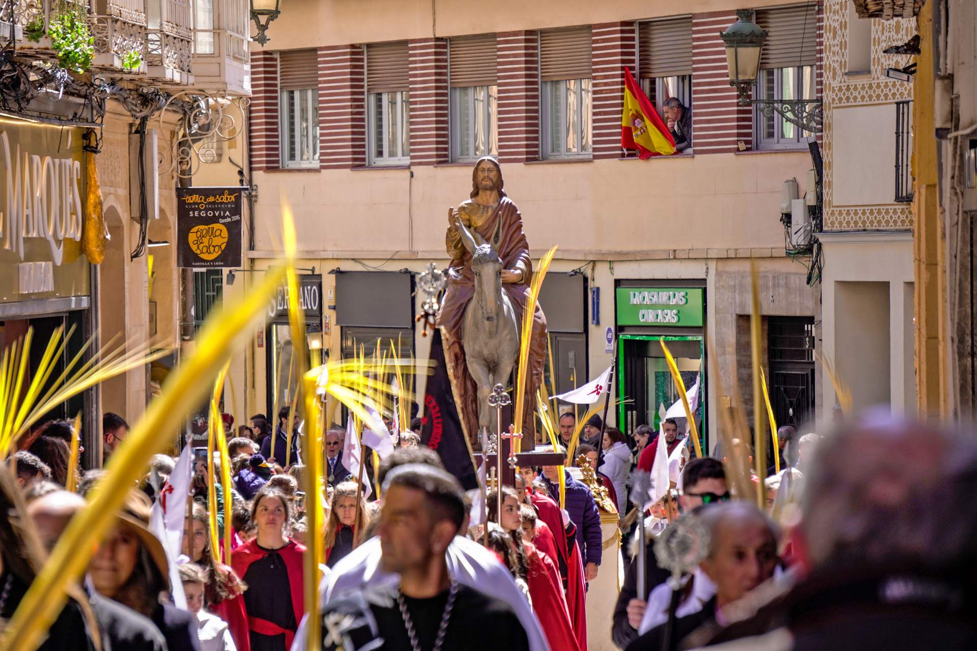 La Procesión de ‘La Borriquilla’ abre la Semana Santa Segoviana 2 06 2w