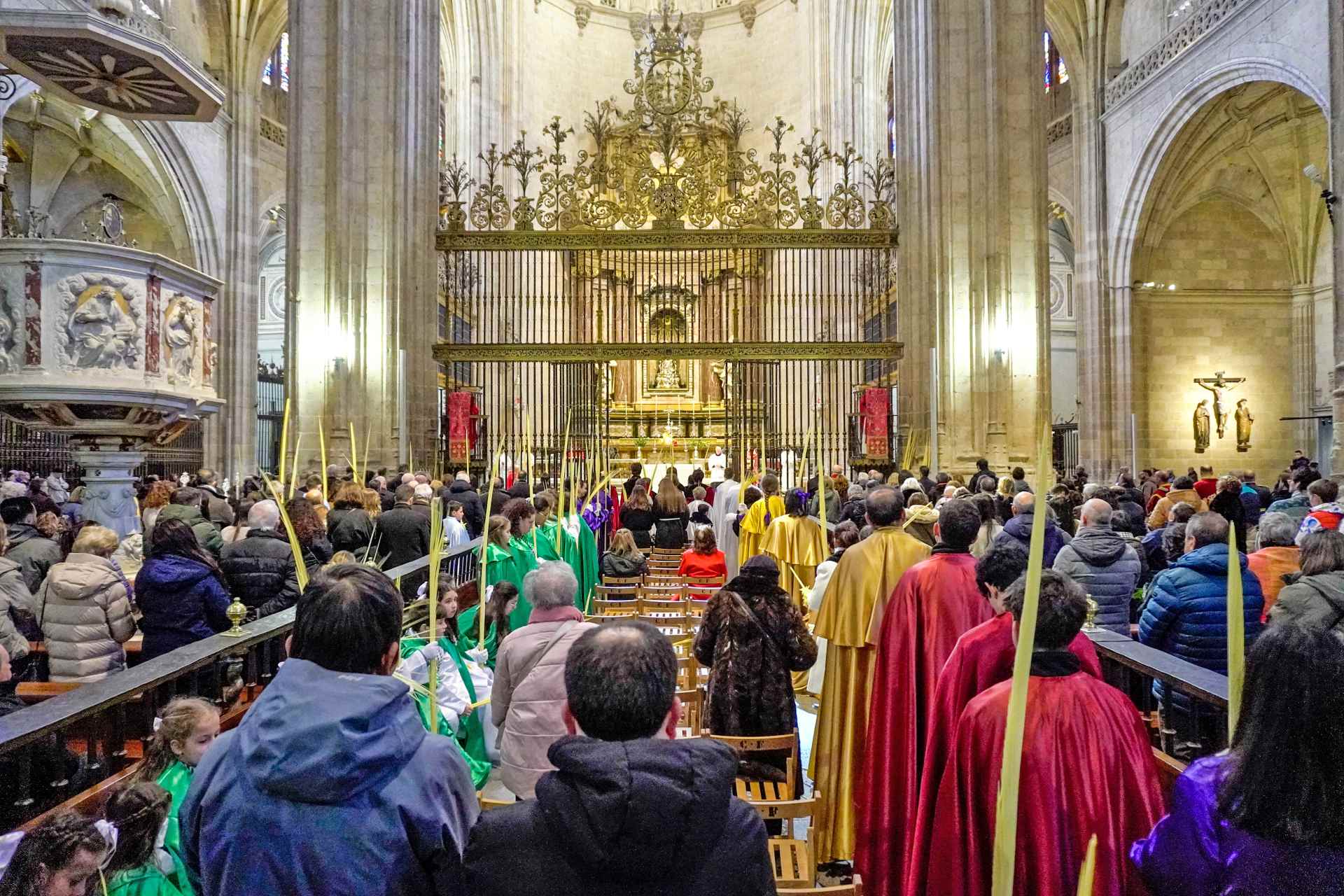 La Procesión de ‘La Borriquilla’ abre la Semana Santa Segoviana 3 06 3w