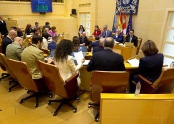 Imagen del pasado pleno del Ayuntamiento de la ciudad. / HÉCTOR CRIADO