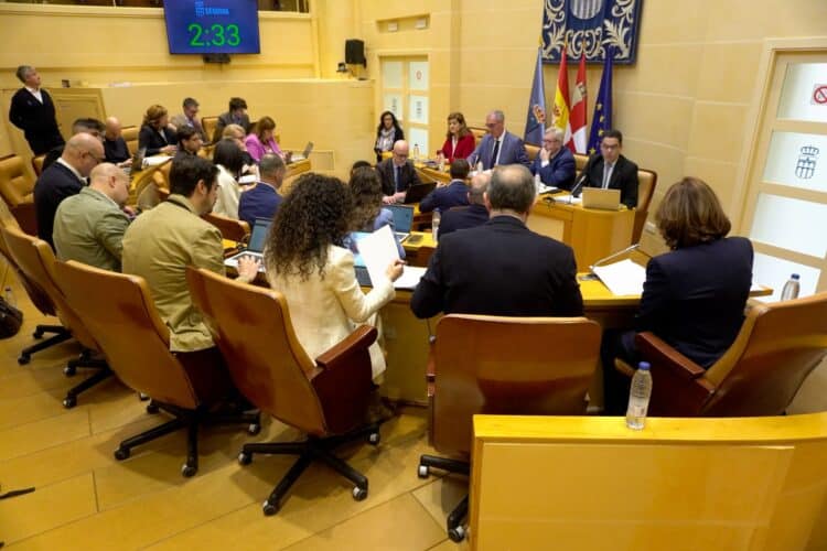 Imagen del pasado pleno del Ayuntamiento de la ciudad. / HÉCTOR CRIADO