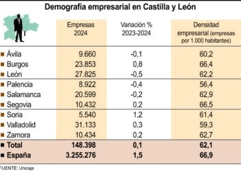 Demografía empresarial en Castilla y León (10cmx7cm)