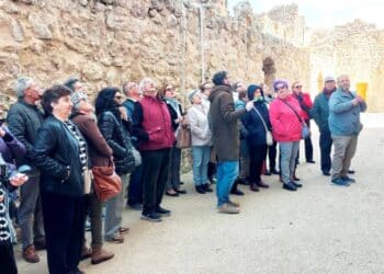 Los participantes, durante la visita al castillo de Turégano./ L. MATARRANZ