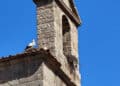 El campanario de la iglesia de los Santos Justo y Pastor sirve de refugio para los nidos de las cigüeñas.