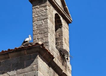 El campanario de la iglesia de los Santos Justo y Pastor sirve de refugio para los nidos de las cigüeñas.
