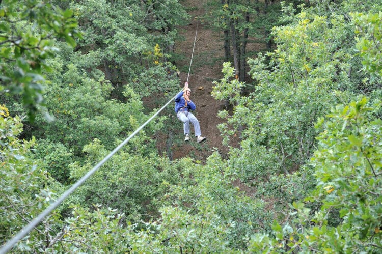 La hostelería, el transporte y el ocio son los sectores que tendrán mayor demanda de empleo. / JCYL