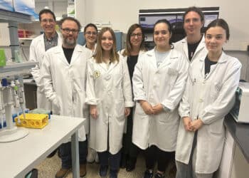 El trabajo está liderado por la investigadora de la Universidad de Valladolid Patricia Gallego y Susana Marcos, del Instituto de Óptica Daza de Valdés del CSIC.