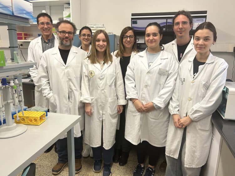 El trabajo está liderado por la investigadora de la Universidad de Valladolid Patricia Gallego y Susana Marcos, del Instituto de Óptica Daza de Valdés del CSIC.
