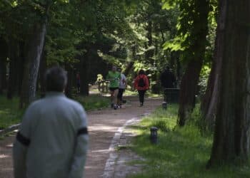 Las personas alérgicas deben extremar las precauciones al realizar actividades al aire libre. /KAMARERO