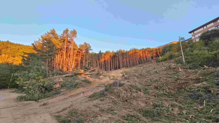 Vista de la parcela del estudio de detalle / ECOLOGISTAS EN ACCIÓN
