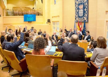 El Pleno segoviano vota a mano alzada./ HÉCTOR CRIADO