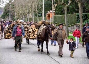 Regreso tas la corta y carga en la Fuente de la Botella. /HÉCTOR CRIADO