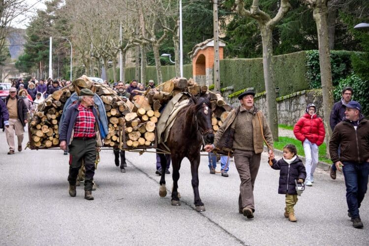 Regreso tas la corta y carga en la Fuente de la Botella. /HÉCTOR CRIADO