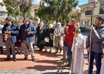 Celebración del Domingo de Ramos / LOURDES MATARRANZ