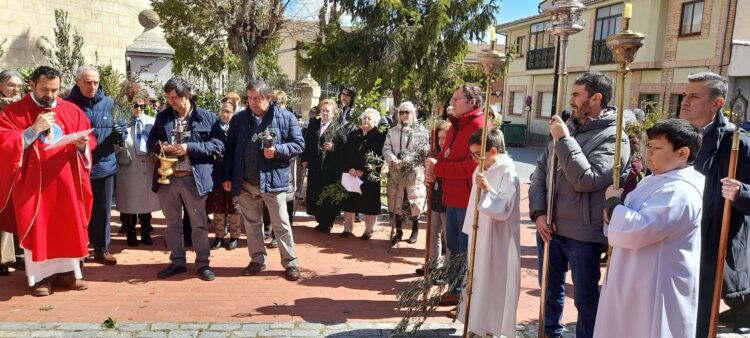 Celebración del Domingo de Ramos / LOURDES MATARRANZ