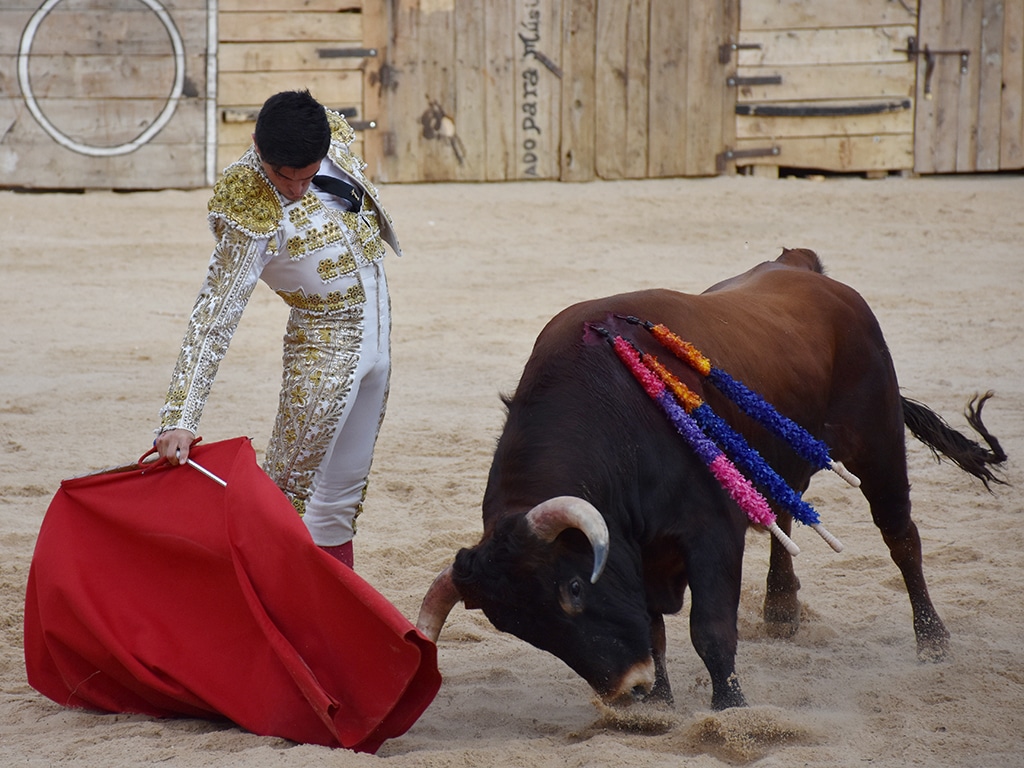 El novillero espinariego Curro Muñoz será apoderado por Gonzalo Hernando 2 Curro Muñoz, en Pedraza. / A.M.