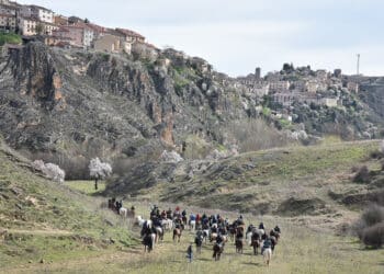 Encierro campero de Sepúlveda con bueyes. / A.M.