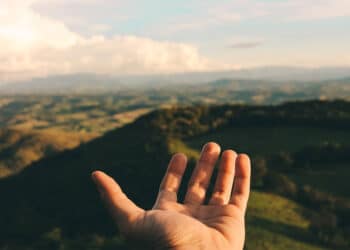 El sector porcino contribuye de forma directa al desarrollo económico y social de las zonas rurales. / INNOPORC