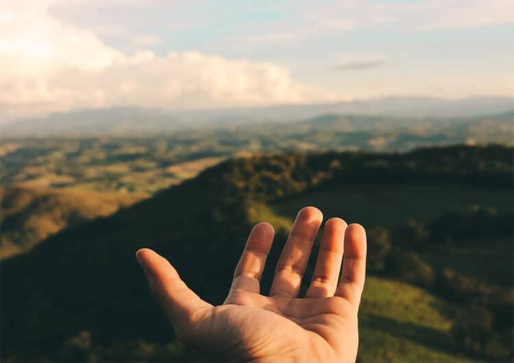 El sector porcino contribuye de forma directa al desarrollo económico y social de las zonas rurales. / INNOPORC