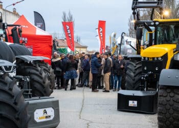 Feria del Ángel de Fuentepelayo. / Héctor Criado