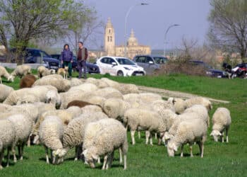 Jornada Día de las Vías Pecuarias y Caminos Públicos - Héctor Criado
