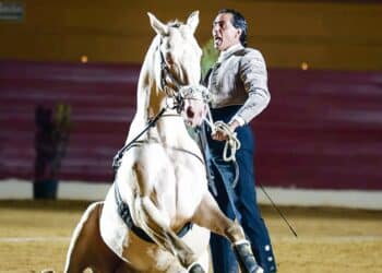 Uno de los números del espectáculo de Óscar Borjas ‘Caballos del Revuelo’ que se podrán ver en Fuentepelayo este fin de semana. / Óscar Borjas