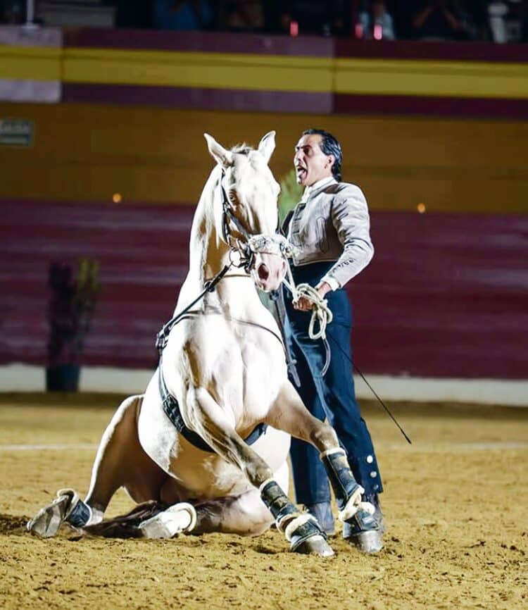 Uno de los números del espectáculo de Óscar Borjas ‘Caballos del Revuelo’ que se podrán ver en Fuentepelayo este fin de semana. / Óscar Borjas