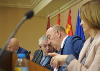 Pleno de la Diputación. / DIPUTACIÓN