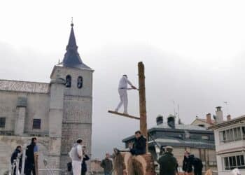 Corta de troncos en altura. / EA