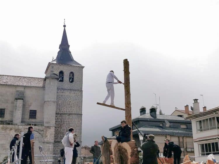 Corta de troncos en altura. / EA