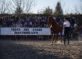 Feria del Caballo en años anteriores / E.A.