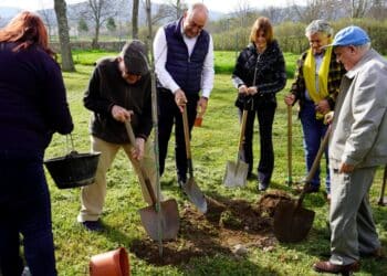 Conmemoración del Día del Árbol en el CSS La Fuencisla / DIPUTACIÓN